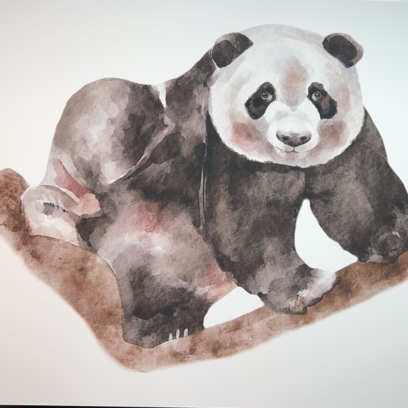 Watercolor Panda Portrait Wall Art Print Poster Unframed - Picture 12 of 16